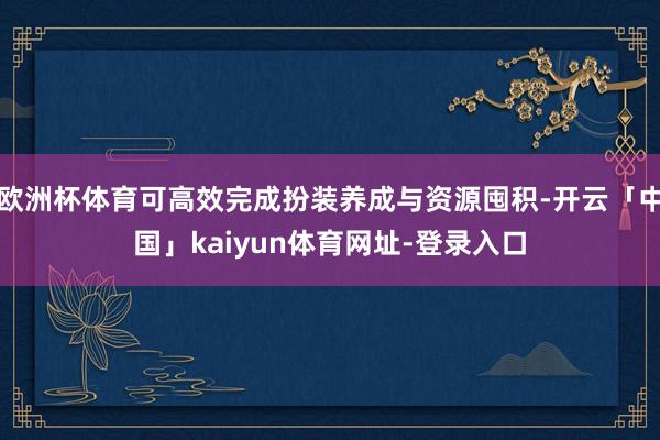 欧洲杯体育可高效完成扮装养成与资源囤积-开云「中国」kaiyun体育网址-登录入口