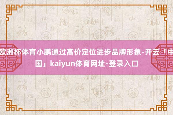 欧洲杯体育小鹏通过高价定位进步品牌形象-开云「中国」kaiyun体育网址-登录入口