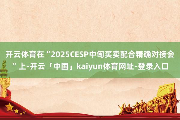 开云体育在“2025CESP中匈买卖配合精确对接会”上-开云「中国」kaiyun体育网址-登录入口