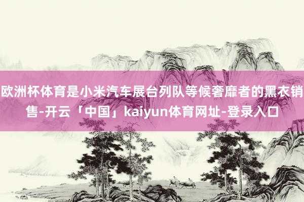 欧洲杯体育是小米汽车展台列队等候奢靡者的黑衣销售-开云「中国」kaiyun体育网址-登录入口