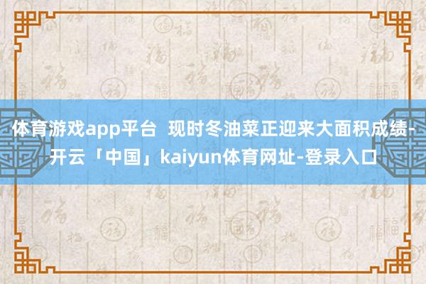 体育游戏app平台  现时冬油菜正迎来大面积成绩-开云「中国」kaiyun体育网址-登录入口