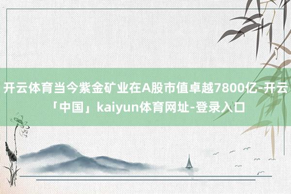 开云体育当今紫金矿业在A股市值卓越7800亿-开云「中国」kaiyun体育网址-登录入口