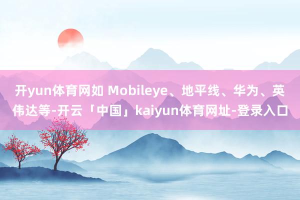 开yun体育网如 Mobileye、地平线、华为、英伟达等-开云「中国」kaiyun体育网址-登录入口