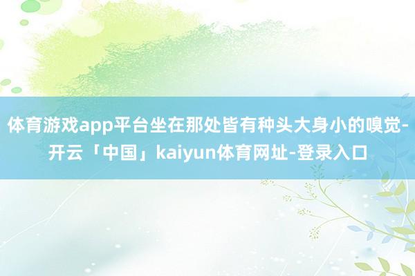 体育游戏app平台坐在那处皆有种头大身小的嗅觉-开云「中国」kaiyun体育网址-登录入口