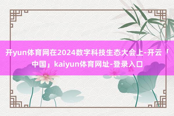 开yun体育网在2024数字科技生态大会上-开云「中国」kaiyun体育网址-登录入口