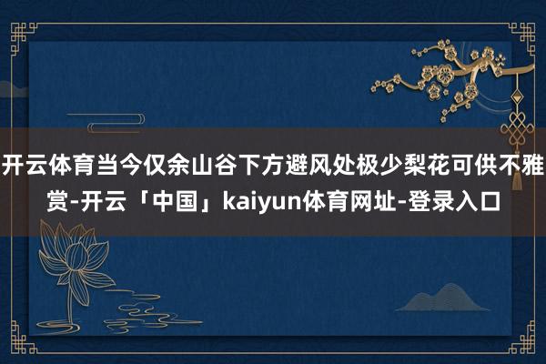 开云体育当今仅余山谷下方避风处极少梨花可供不雅赏-开云「中国」kaiyun体育网址-登录入口