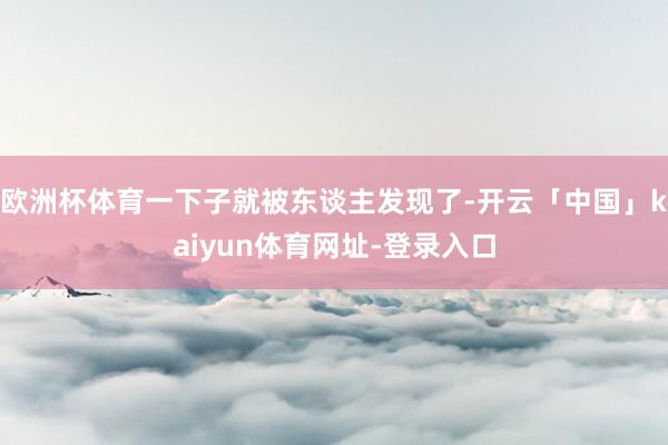 欧洲杯体育一下子就被东谈主发现了-开云「中国」kaiyun体育网址-登录入口