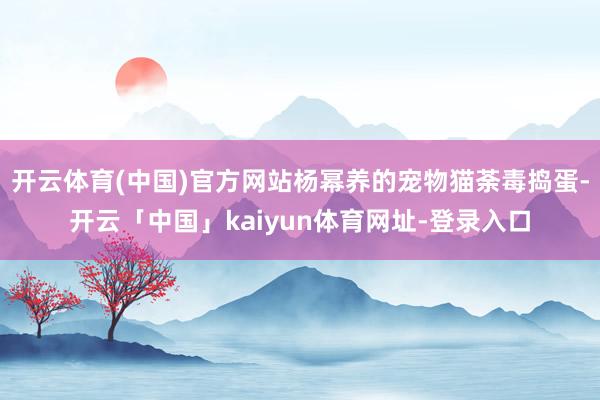 开云体育(中国)官方网站杨幂养的宠物猫荼毒捣蛋-开云「中国」kaiyun体育网址-登录入口