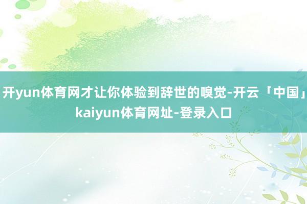 开yun体育网才让你体验到辞世的嗅觉-开云「中国」kaiyun体育网址-登录入口