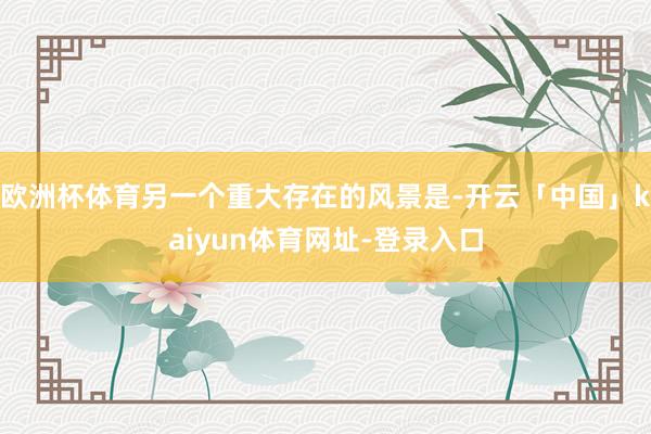 欧洲杯体育另一个重大存在的风景是-开云「中国」kaiyun体育网址-登录入口