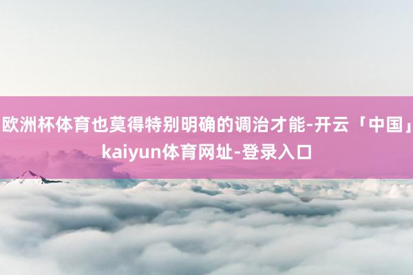 欧洲杯体育也莫得特别明确的调治才能-开云「中国」kaiyun体育网址-登录入口